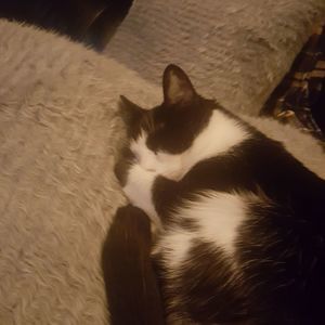 Meet your Posher, Charity